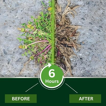 🏆AEXZR® 2 in 1 Max Power Herbicide