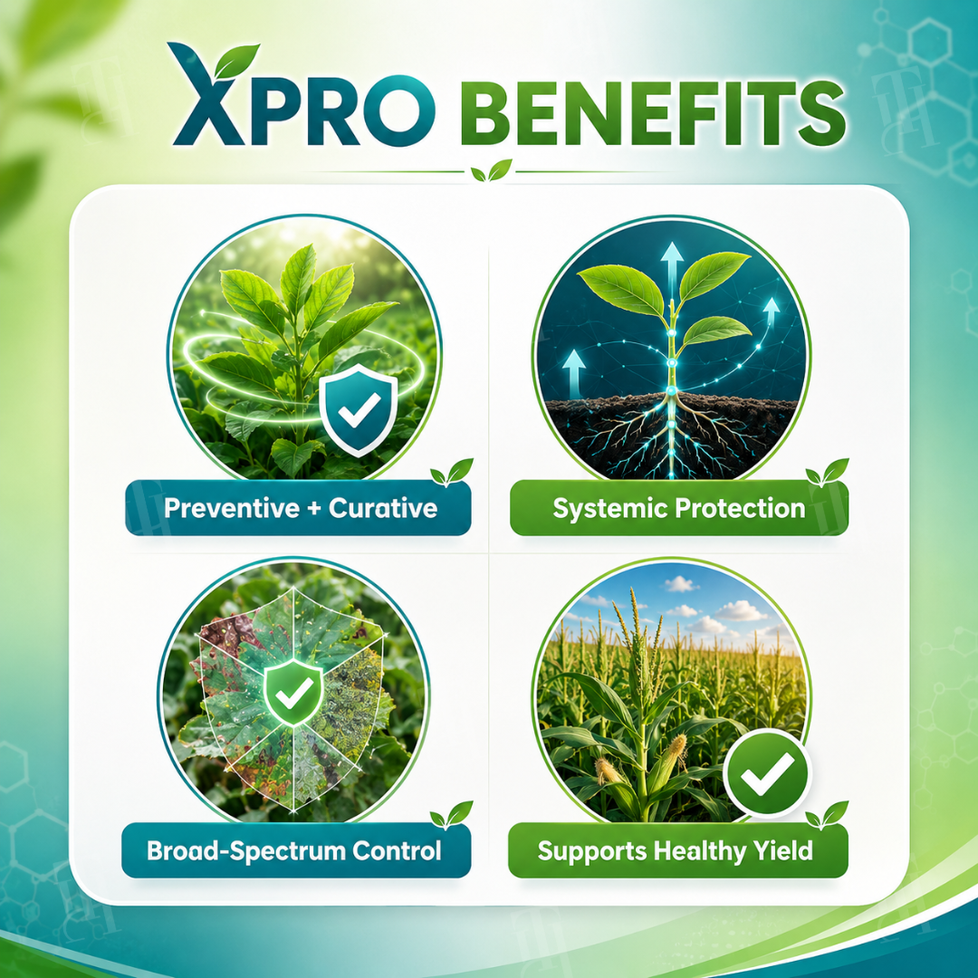 🌿RZXEA™  Xpro Prothioconazole Systemic Fungicide🏆