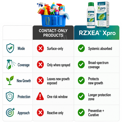 🌿RZXEA™  Xpro Prothioconazole Systemic Fungicide🏆