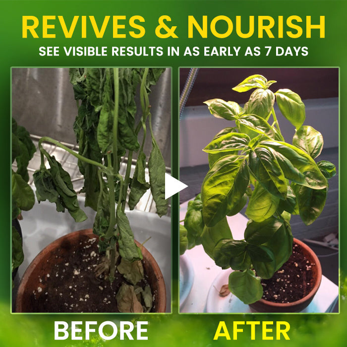 🏆 Official Store | AEXZR® 2 in 1 Vita-Enzyme 🌱 Repair & Nourish Plants🌿