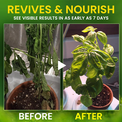 🏆 Official Store | AEXZR® 2 in 1 Vita-Enzyme 🌱 Repair & Nourish Plants🌿