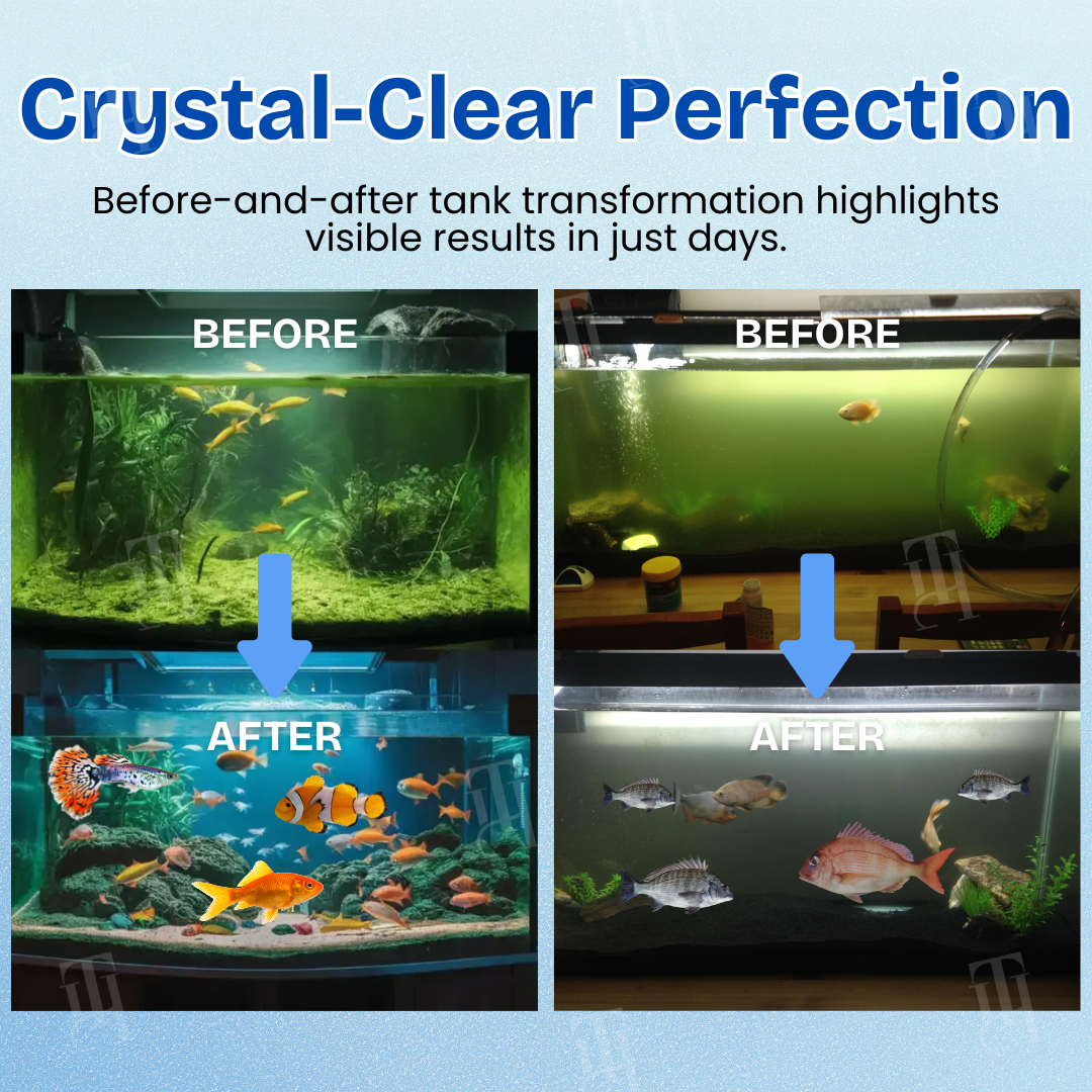 🏆✅Official Store | 🌊 Achieve Crystal Clear Water & Thriving Fish 🌿 AEXZR® Aqua-Guardian Blend