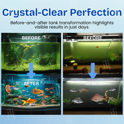 🏆✅Official Store | 🌊 Achieve Crystal Clear Water & Thriving Fish 🌿 AEXZR® Aqua-Guardian Blend