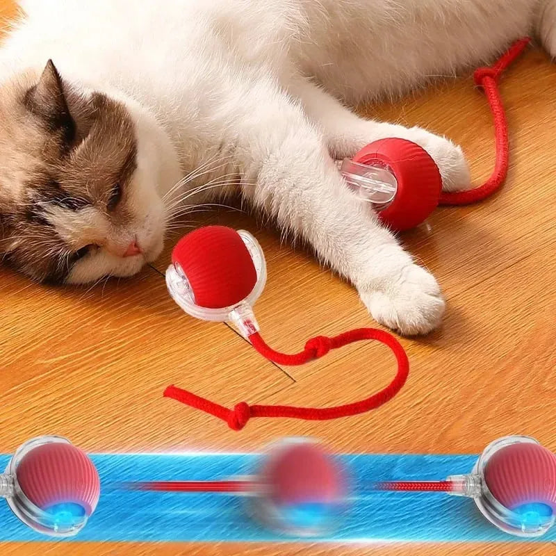 🐾 Interactive Rolling Ball – 3 Play Modes, Automatic Motion, Pet-Safe