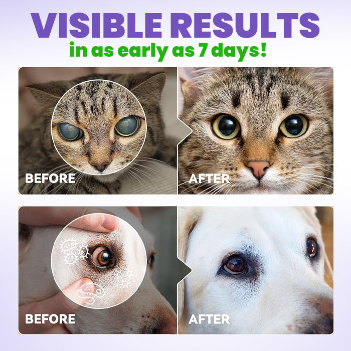 🏆🛡️RZXEA™ PetPro Eye Drops🛡️