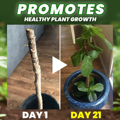 🏆🌱All-in-One Nutrient Boost | RZXEA® Organic Fertilizer Tablets- Slow Release Plant Food for 60 Days⭐️