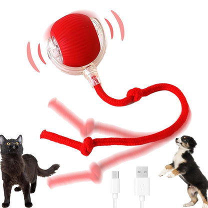 🐾 Interactive Rolling Ball – 3 Play Modes, Automatic Motion, Pet-Safe