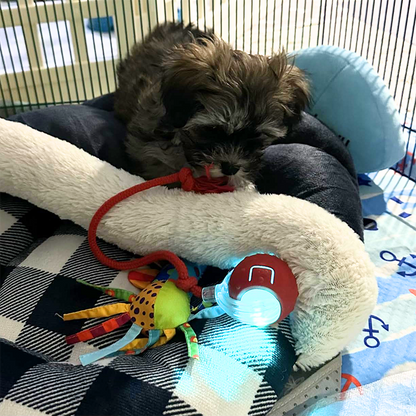 🐾 Interactive Rolling Ball – 3 Play Modes, Automatic Motion, Pet-Safe