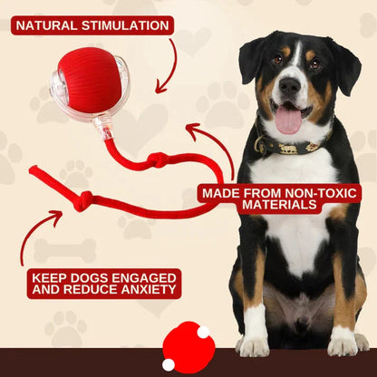 🐾 Interactive Rolling Ball – 3 Play Modes, Automatic Motion, Pet-Safe