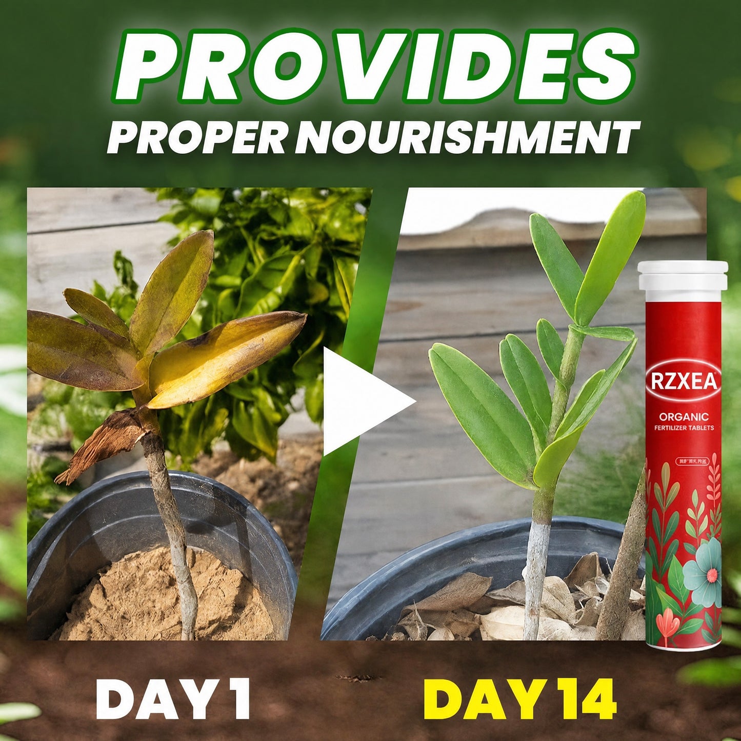 🏆🌱All-in-One Nutrient Boost | RZXEA® Organic Fertilizer Tablets- Slow Release Plant Food for 60 Days⭐️