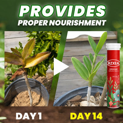 🏆🌱All-in-One Nutrient Boost | RZXEA® Organic Fertilizer Tablets- Slow Release Plant Food for 60 Days⭐️