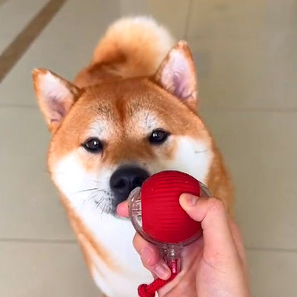 🐾 Interactive Rolling Ball – 3 Play Modes, Automatic Motion, Pet-Safe